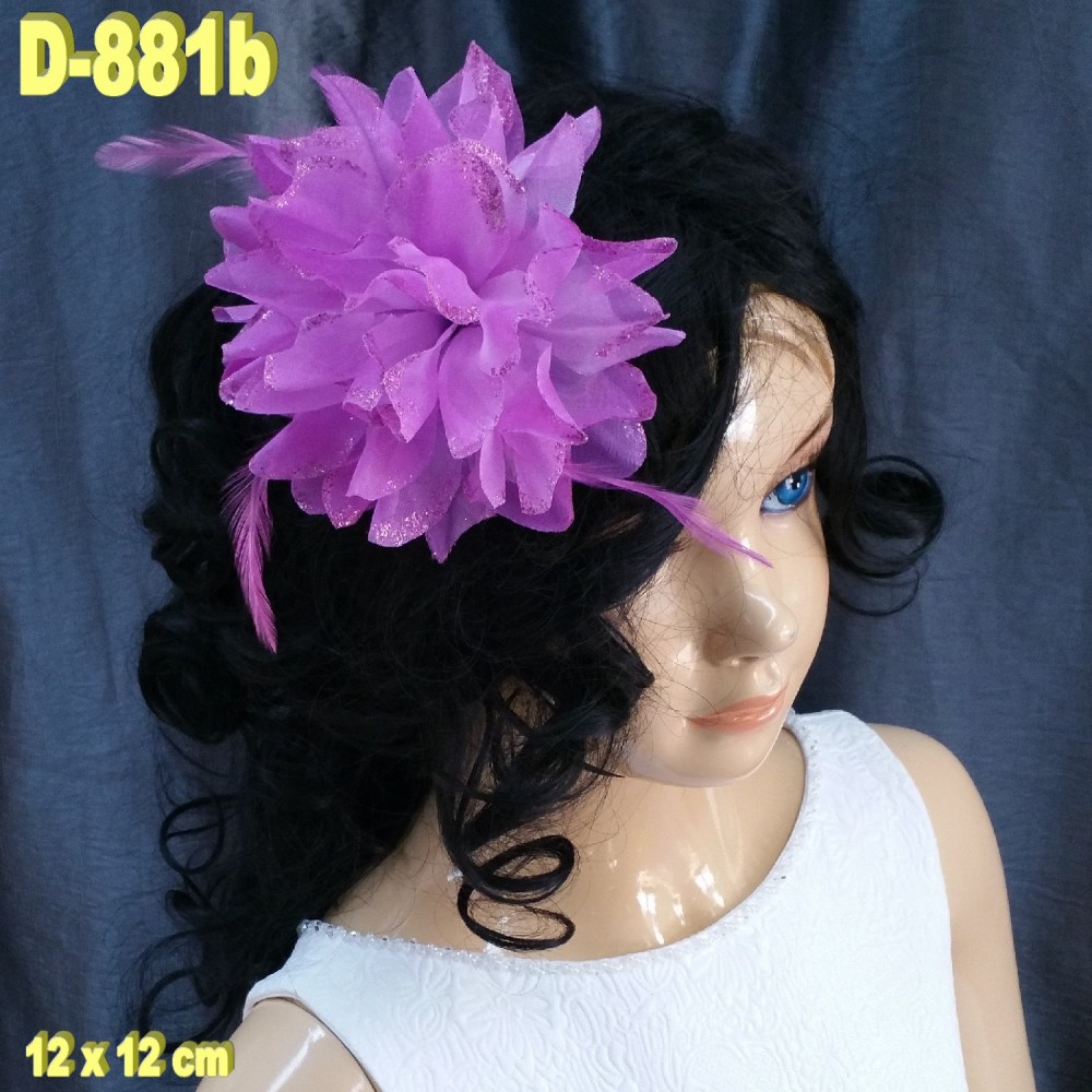 D-881b (1)